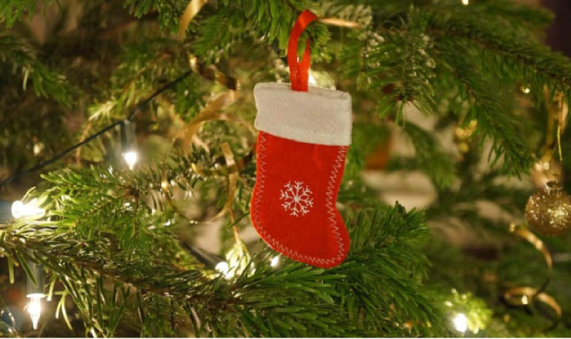 Christmas sock in a tree waiting for dental stocking stuffers