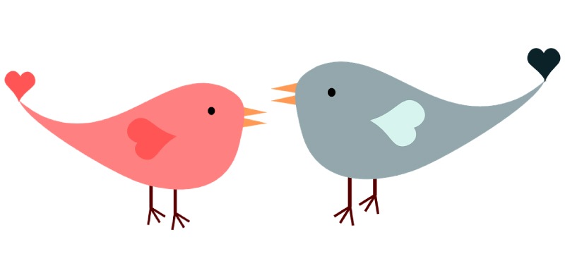 Graphic drawing of two lovebirds facing each other, the smaller one on the left is pink and the larger on the right is gray