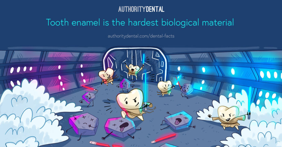 tooth enamel hardest biological material poster